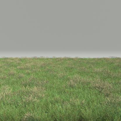 FP Preset Common Grass Field Mixed2