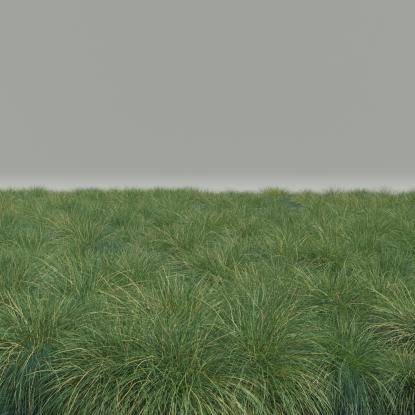 FP Preset Field 2 Mixed