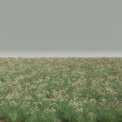 FP Preset Field 3 Mixed