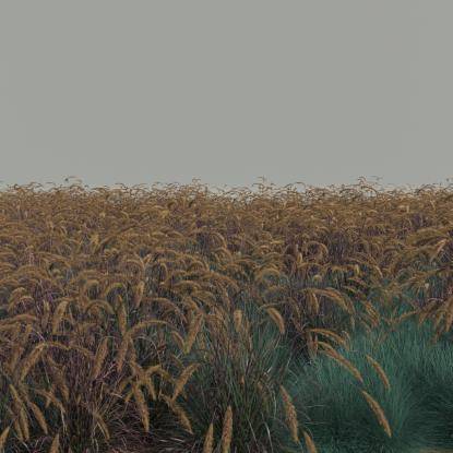 FP Preset Field 4 Mixed