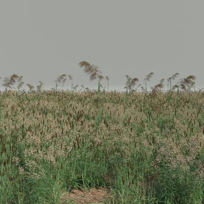 FP Preset Field 5 Mixed