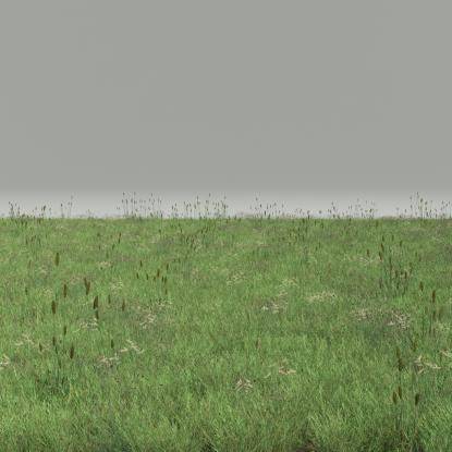 FP Preset Field 6 Mixed