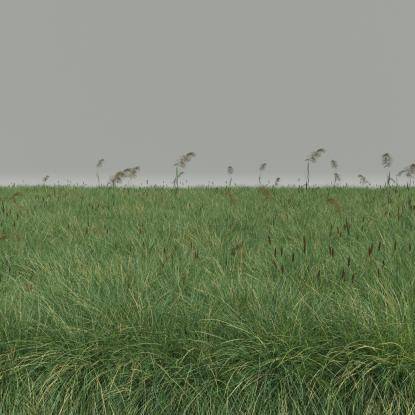 FP Preset Field 7 Mixed