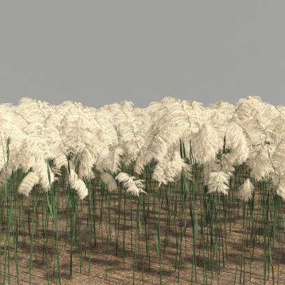 FP Preset Golden Phragmites Field