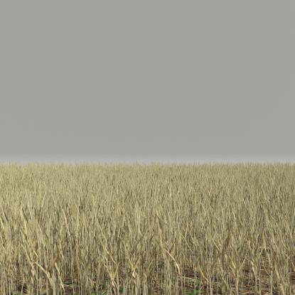 FP Preset Golden Rye Field