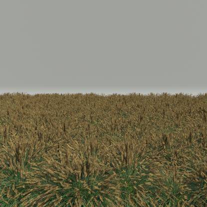 FP Preset Pennisetum alopecuroides