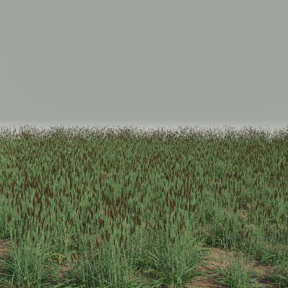 FP Preset Phalaris
