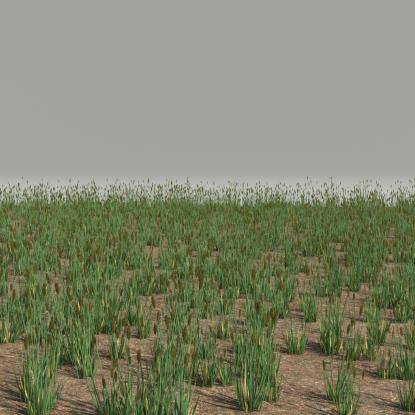 FP Preset Phleum