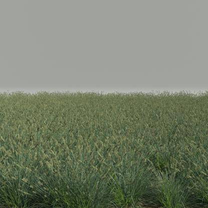 FP Preset Sesleria caerulea