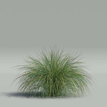 Generic Grass v1