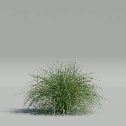 Generic Grass v2