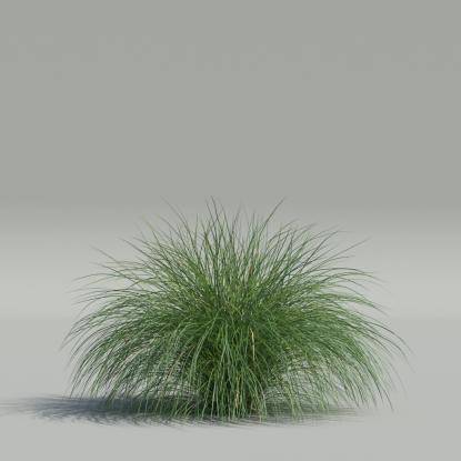 Generic Grass v4