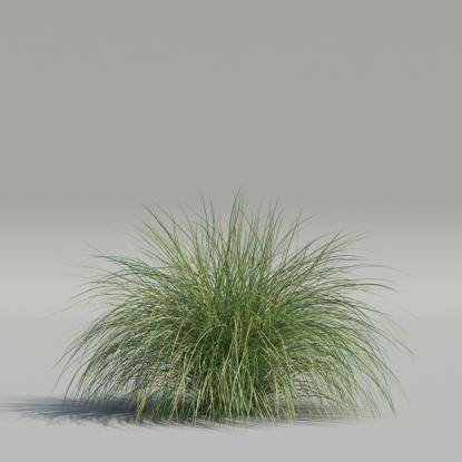 Generic Grass v5