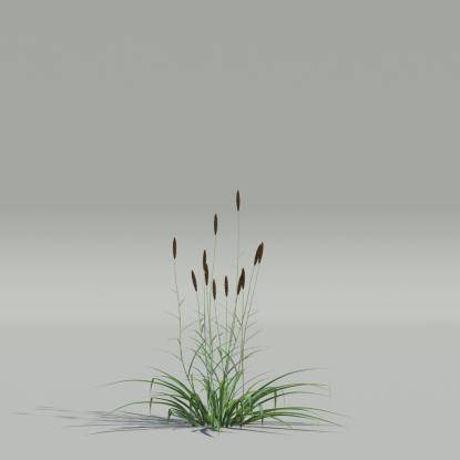 Phalaris v2