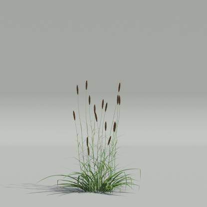 Phalaris-v3