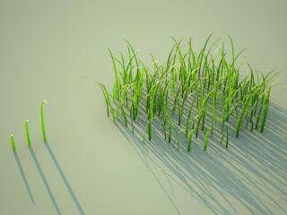 Realistic Grass-tut_realgrass2.jpg