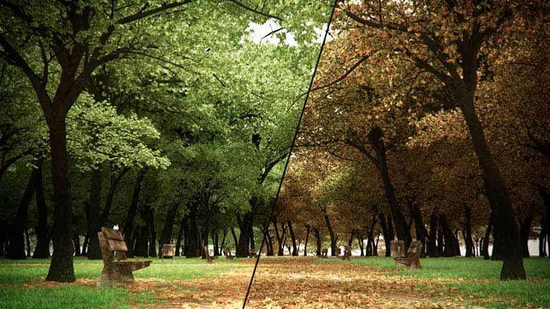 Autumn Park-ForestColour.jpg