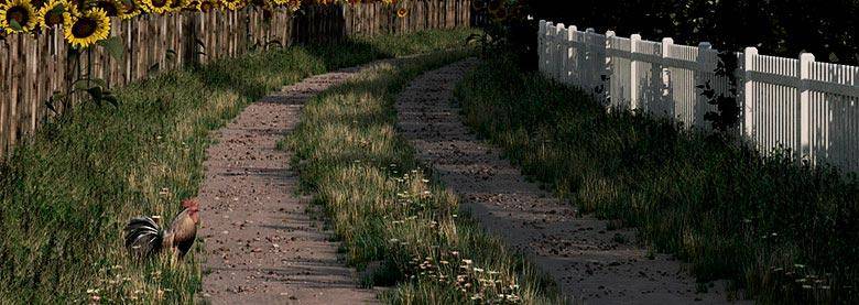 The track-road.jpg
